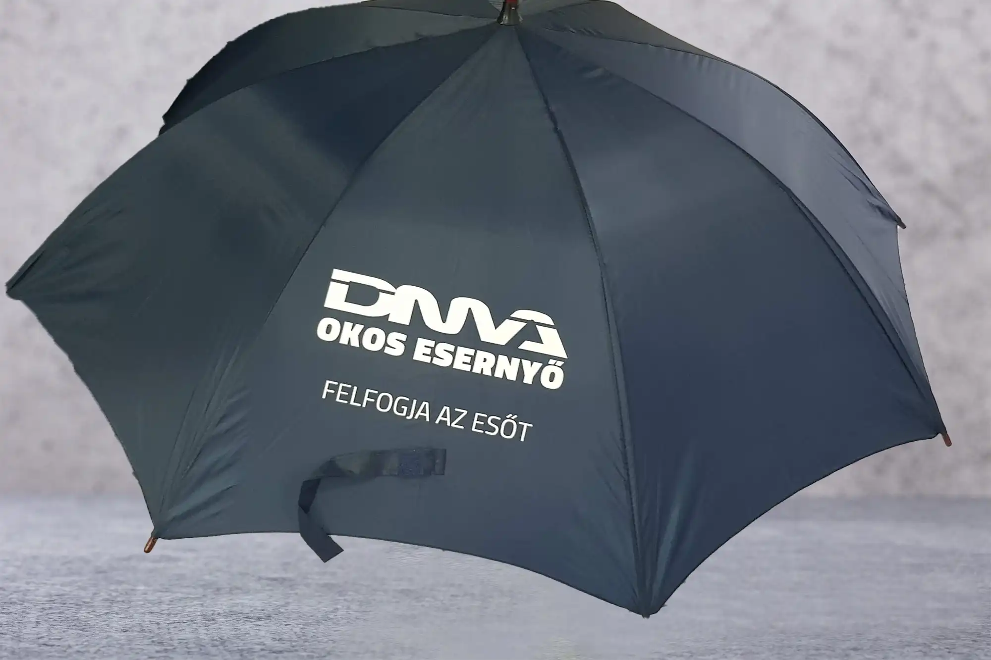 Referencia kép